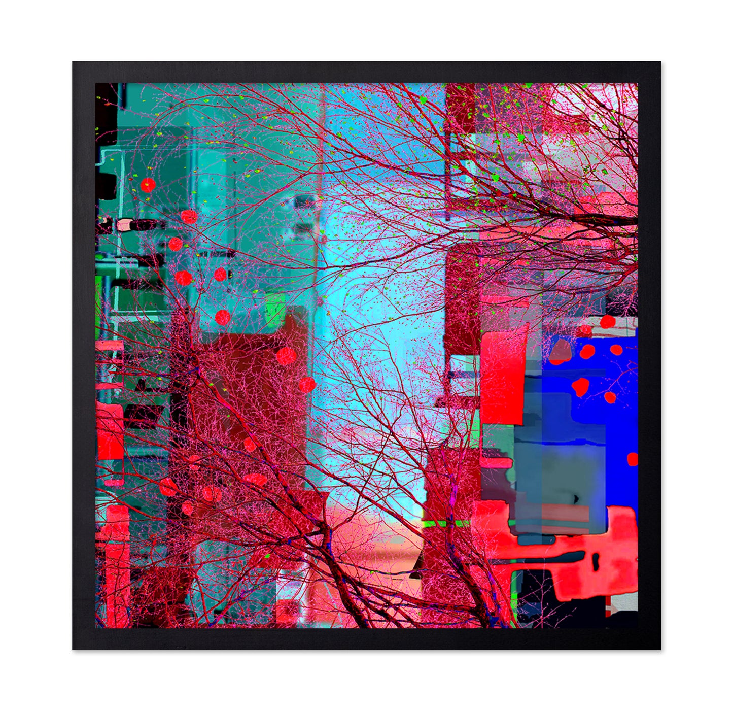 Vibrant Urban Web
