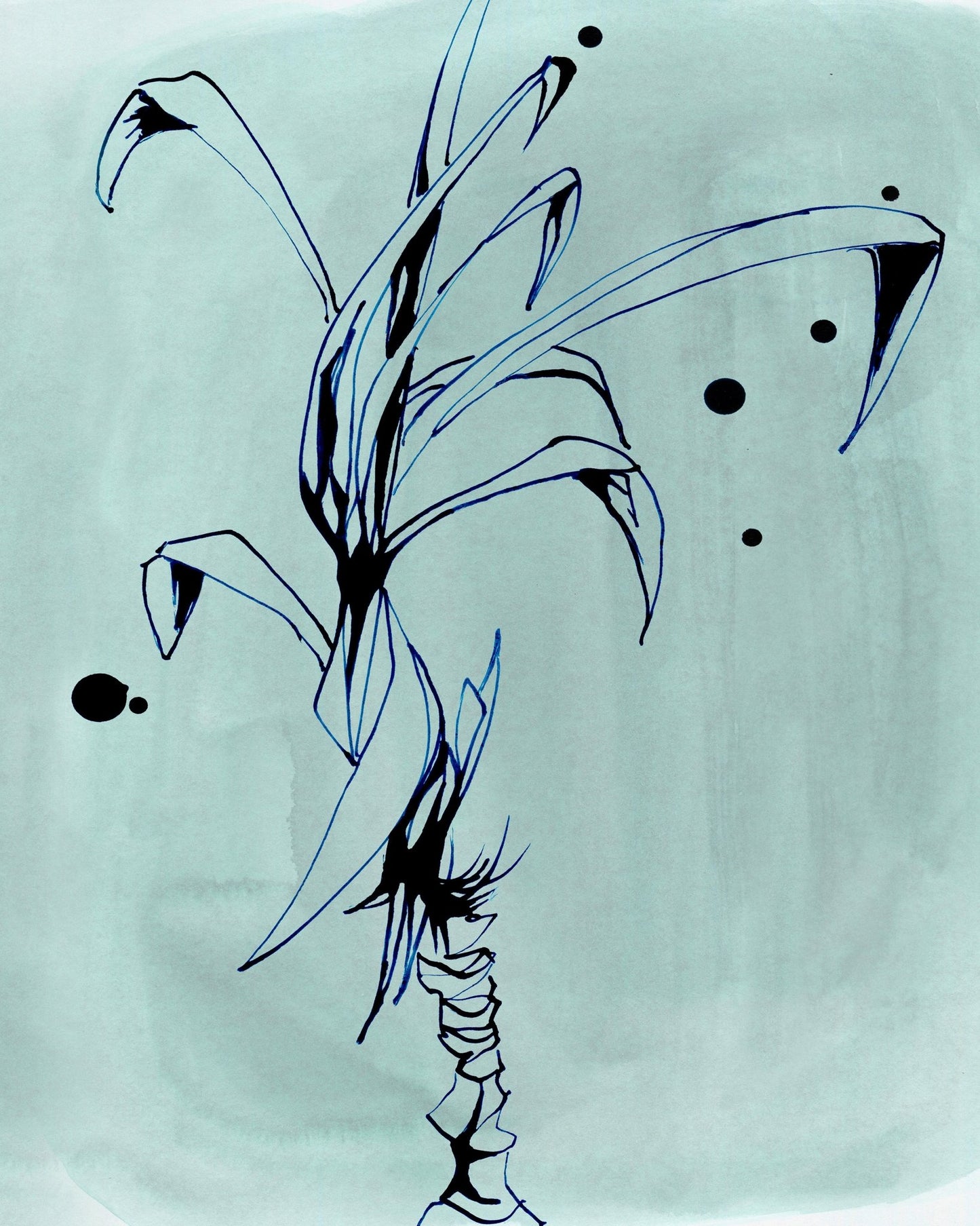 Whimsical Growth