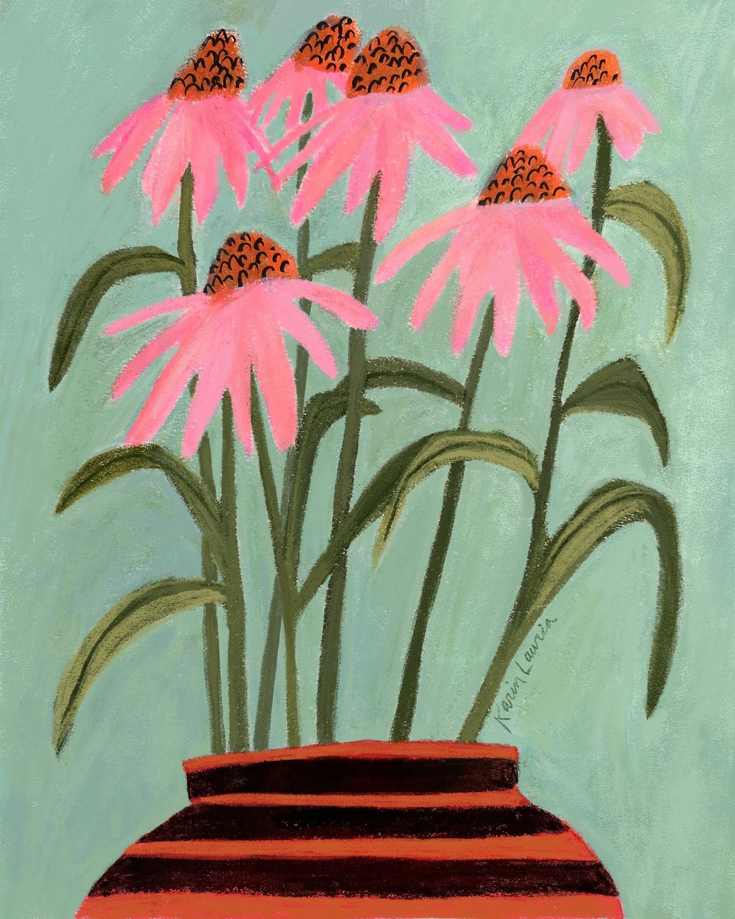 Echinacea Coneflowers