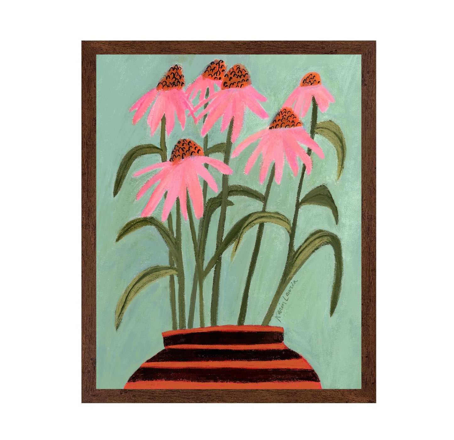 Echinacea Coneflowers