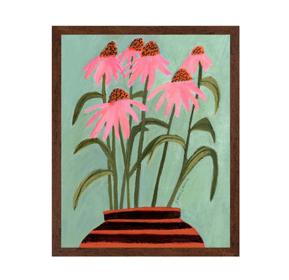 Echinacea Coneflowers