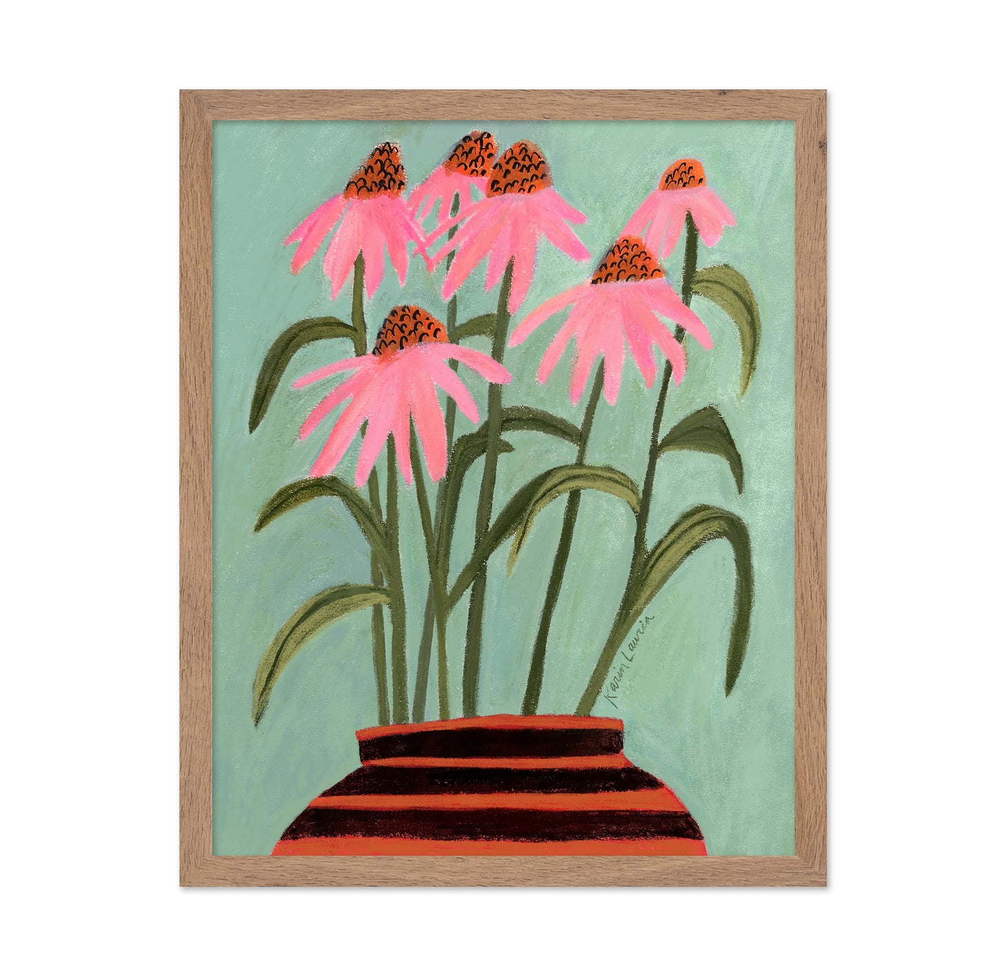 Echinacea Coneflowers