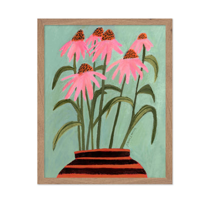Echinacea Coneflowers