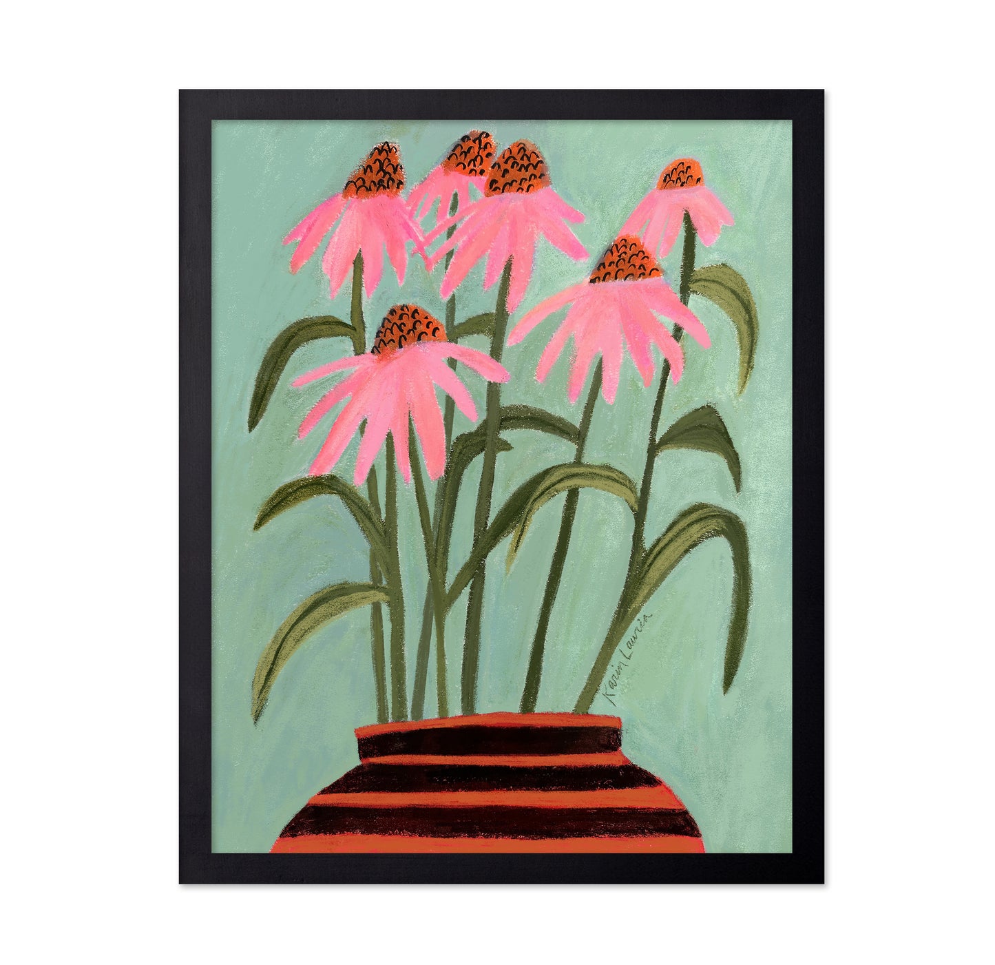 Echinacea Coneflowers