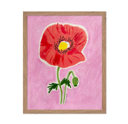 Big Red Poppy