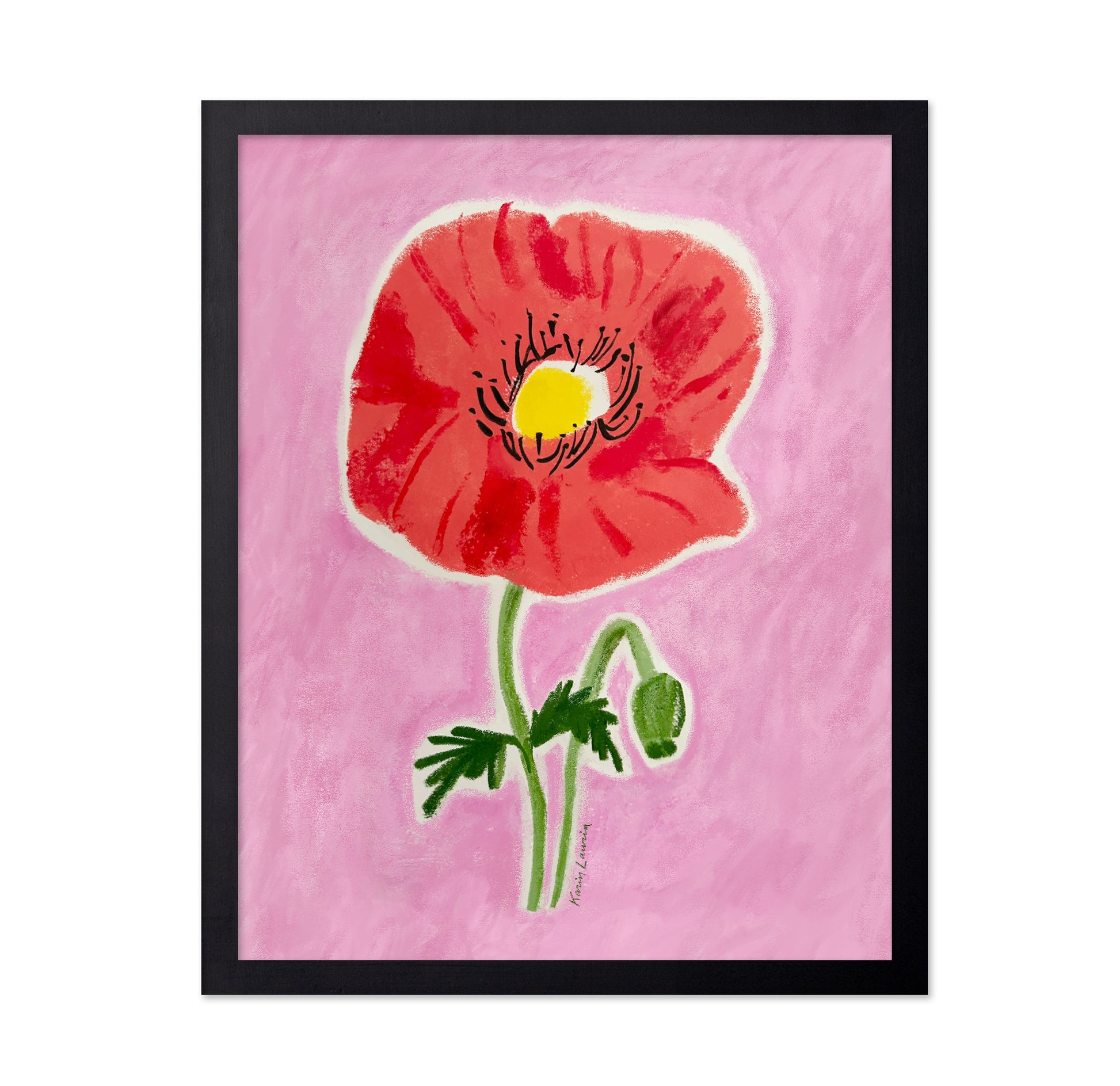 Big Red Poppy