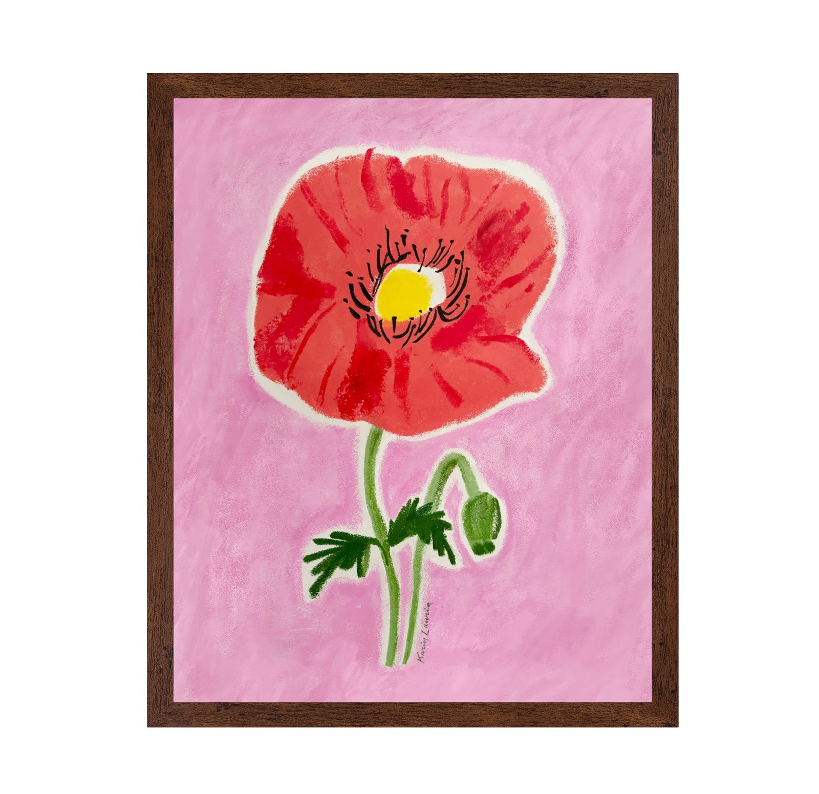 Big Red Poppy