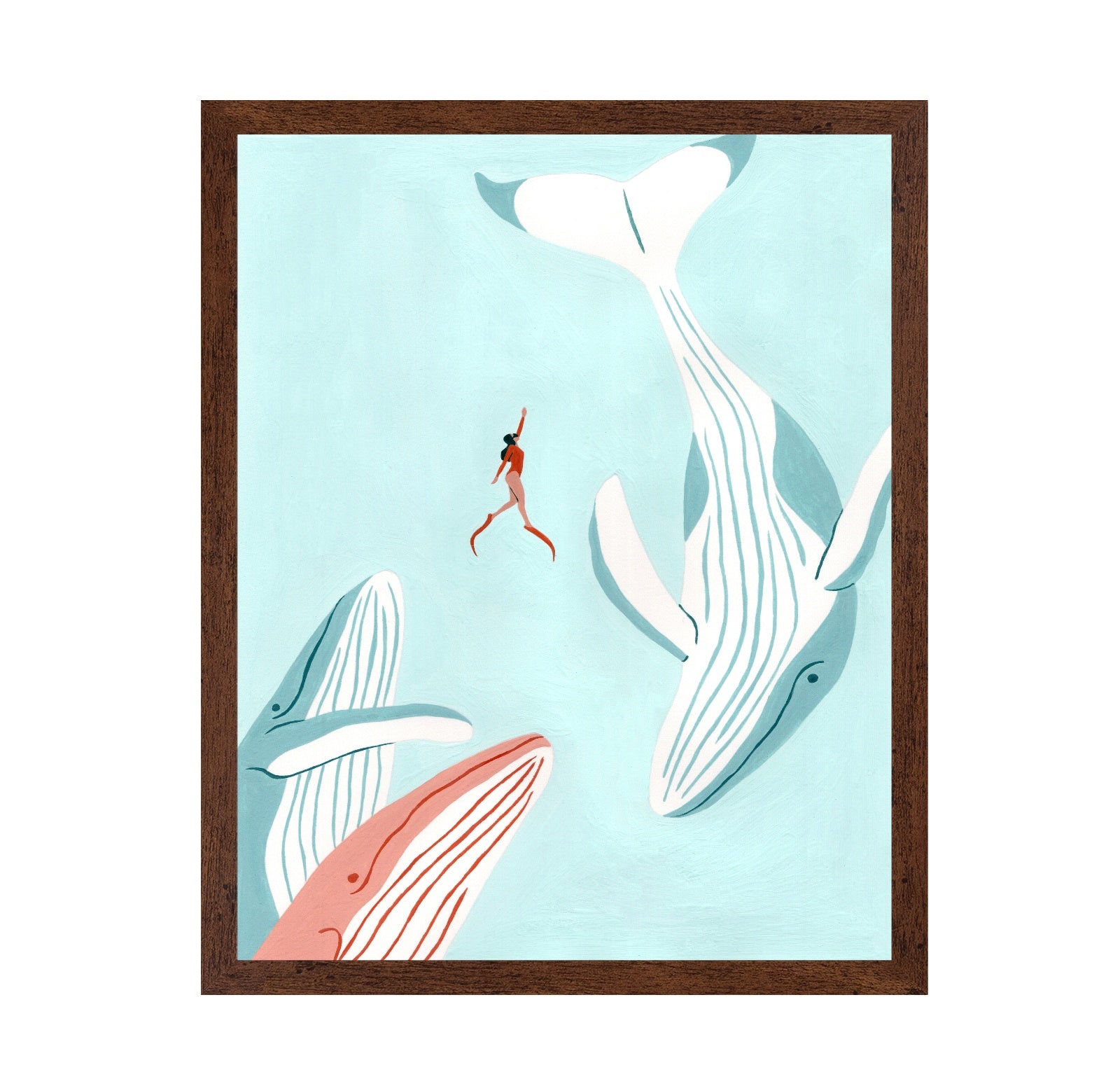 Swimming with Whales