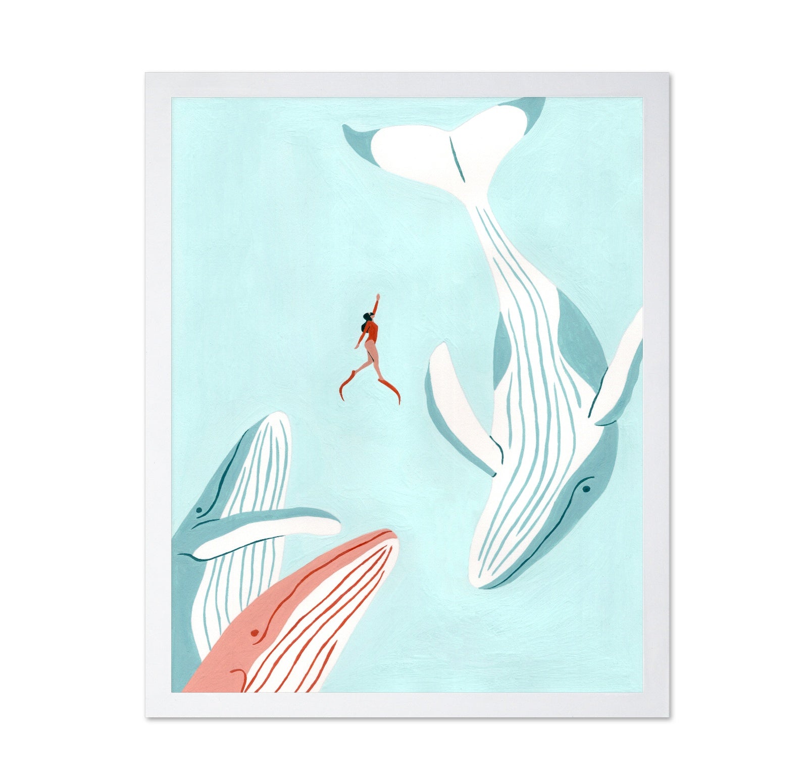 Swimming with Whales