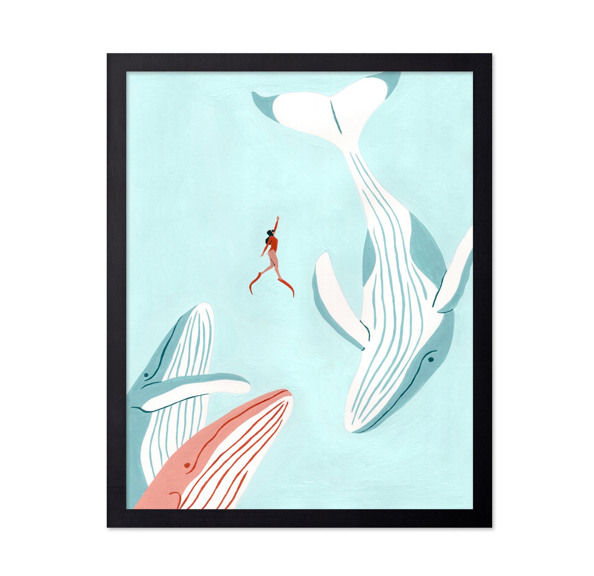 Swimming with Whales