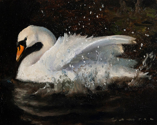 The Swan No 2