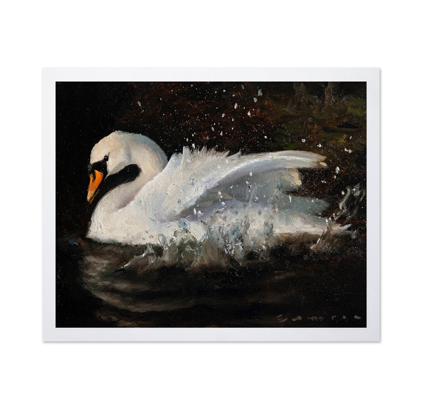 The Swan No 2