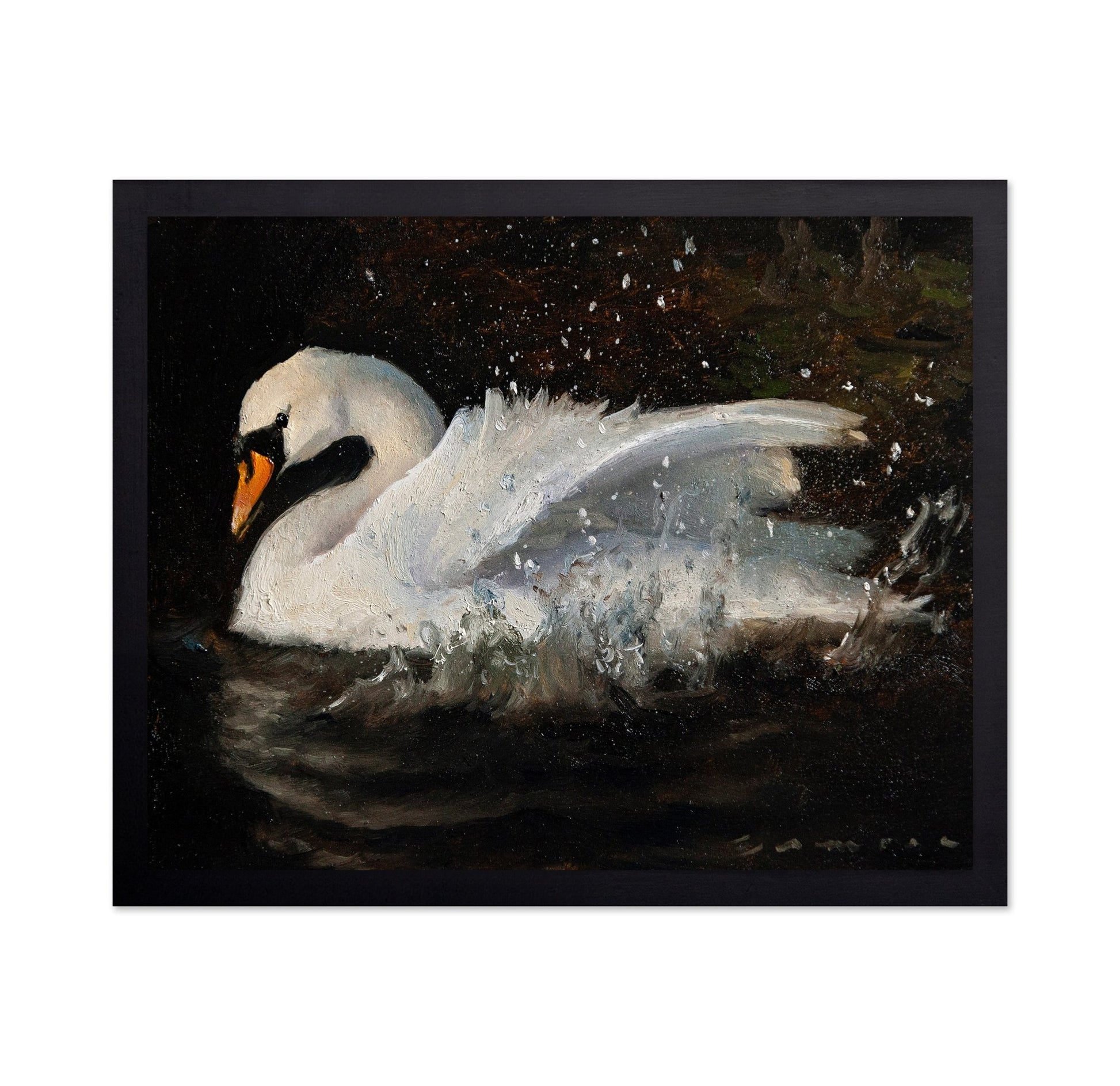 The Swan No 2