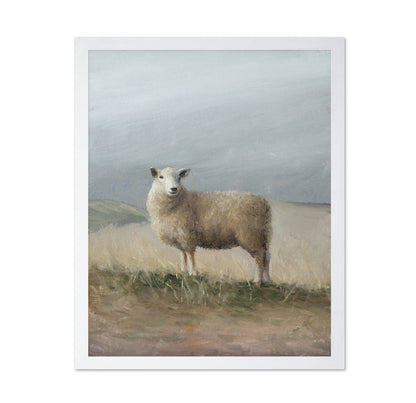 Sheep Study