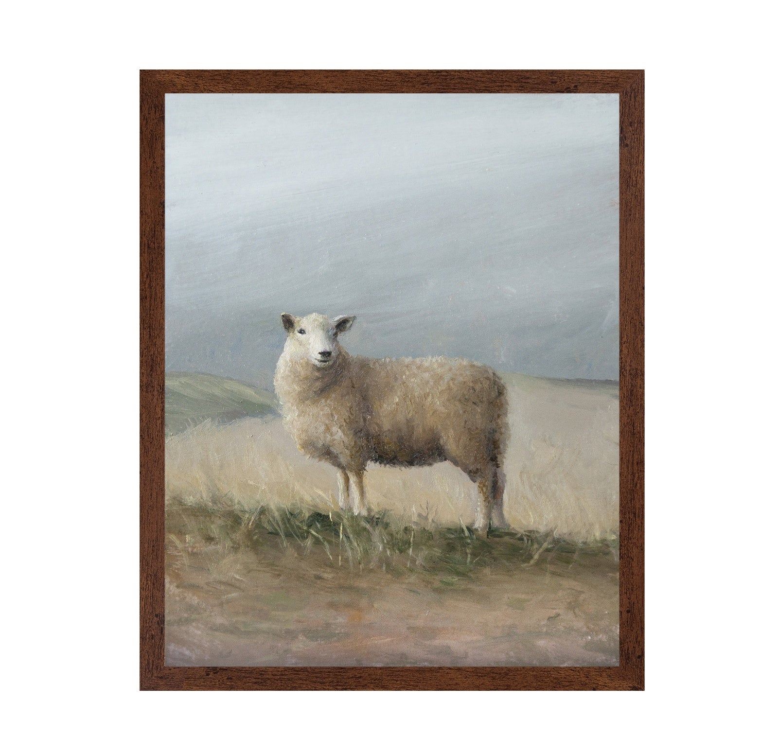 Sheep Study