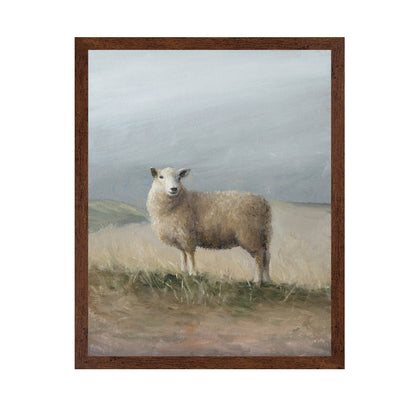 Sheep Study