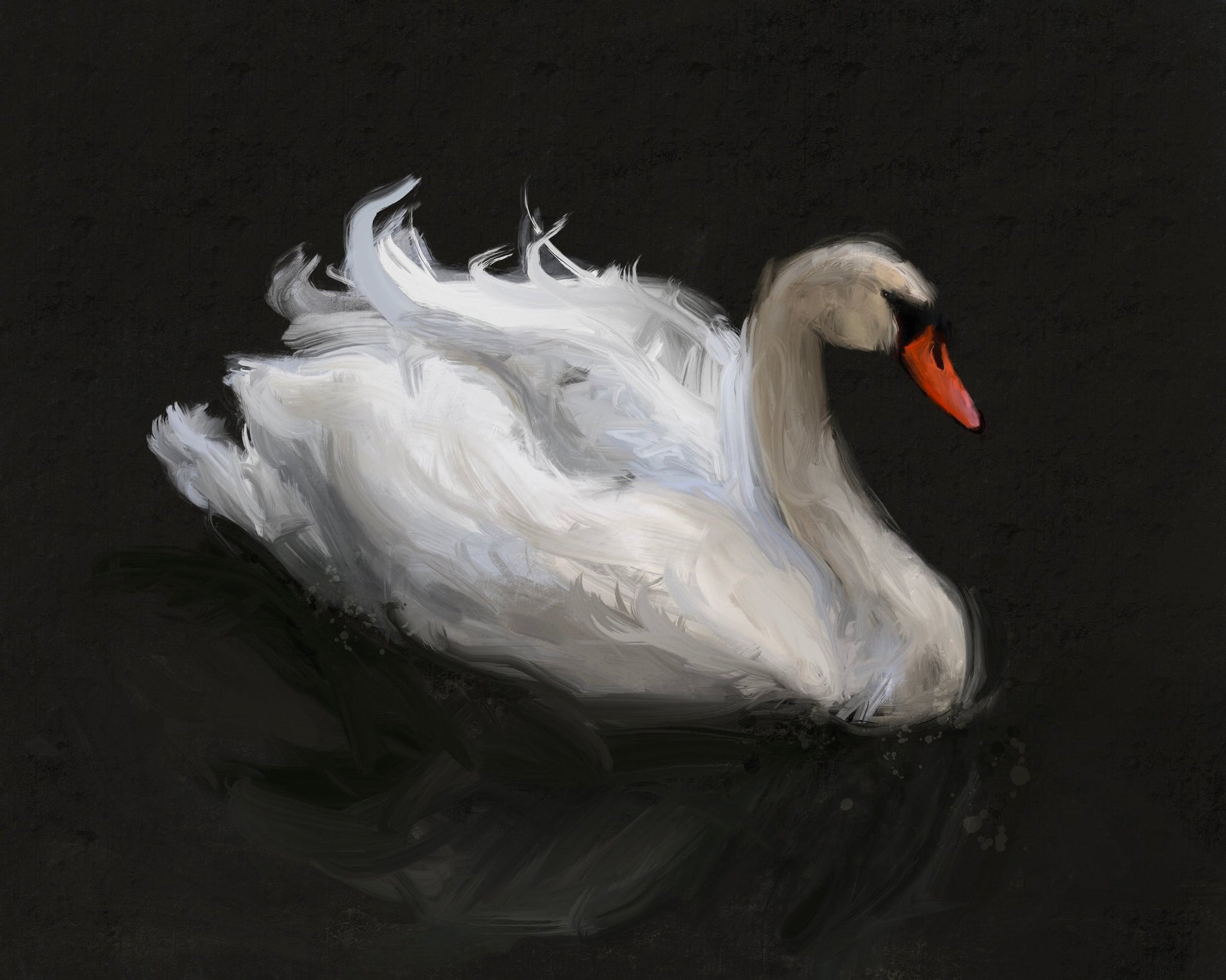 Swan on Lake