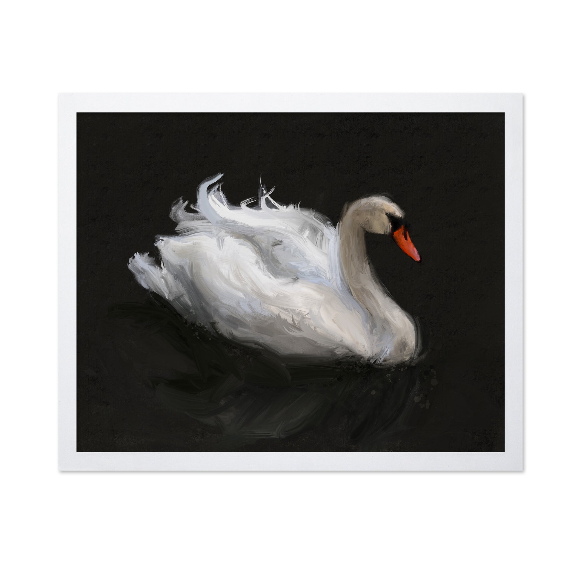 Swan on Lake