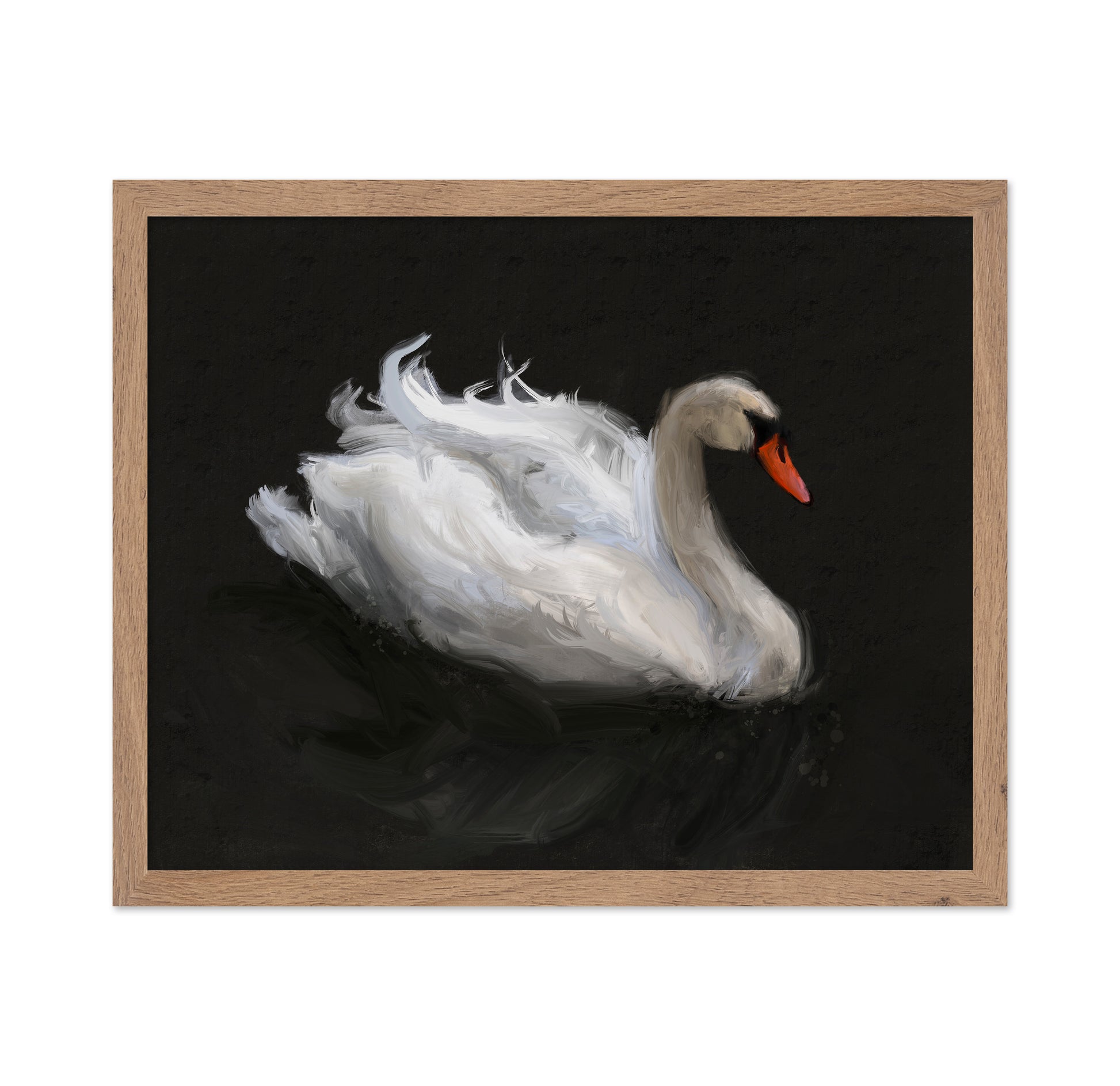 Swan on Lake