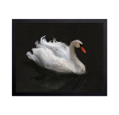 Swan on Lake