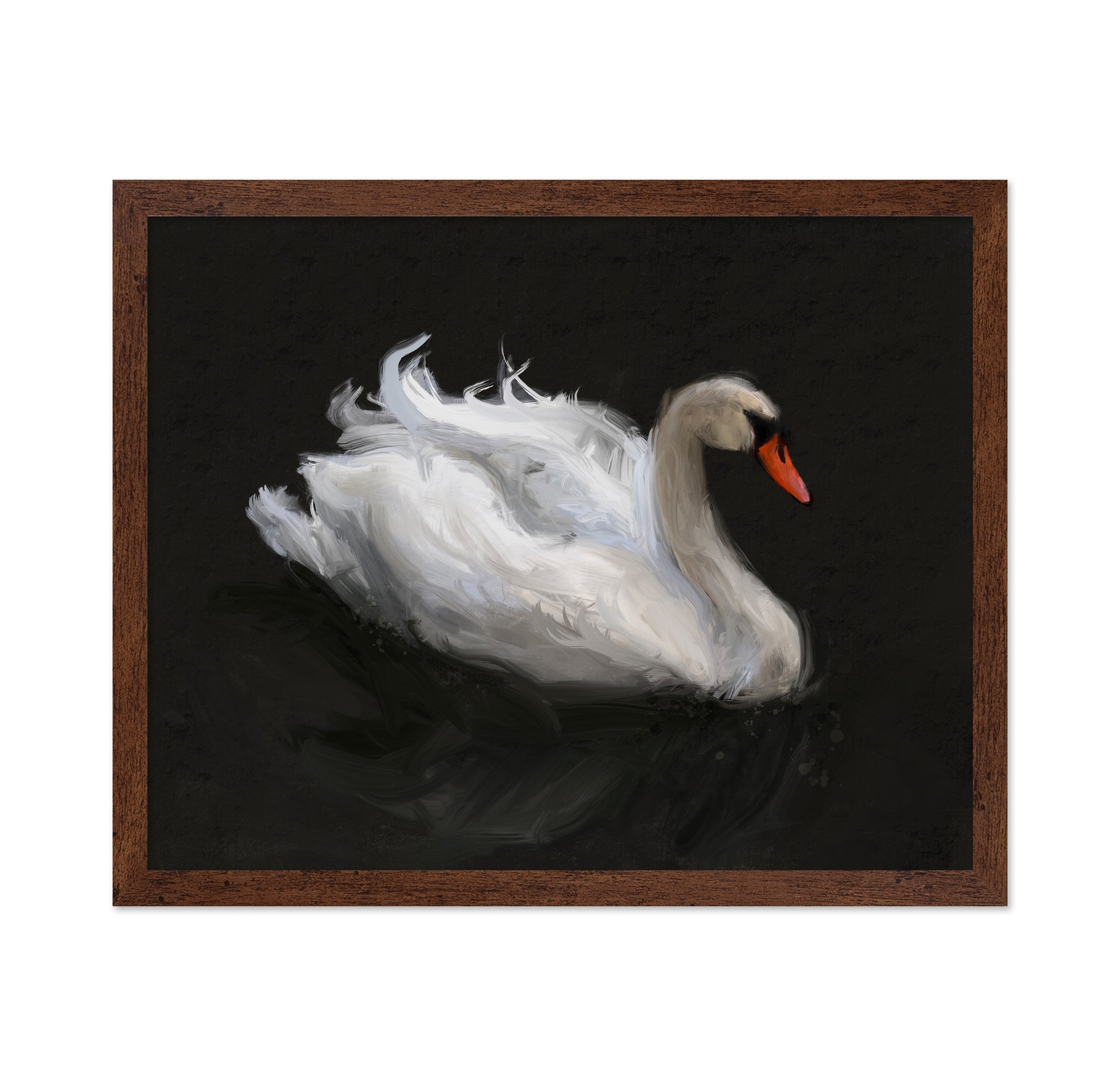 Swan on Lake