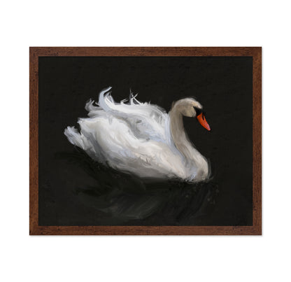 Swan on Lake