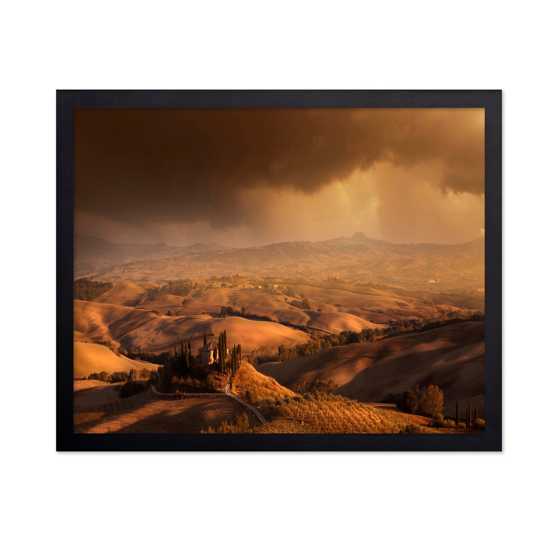 Tuscany Golden Hills