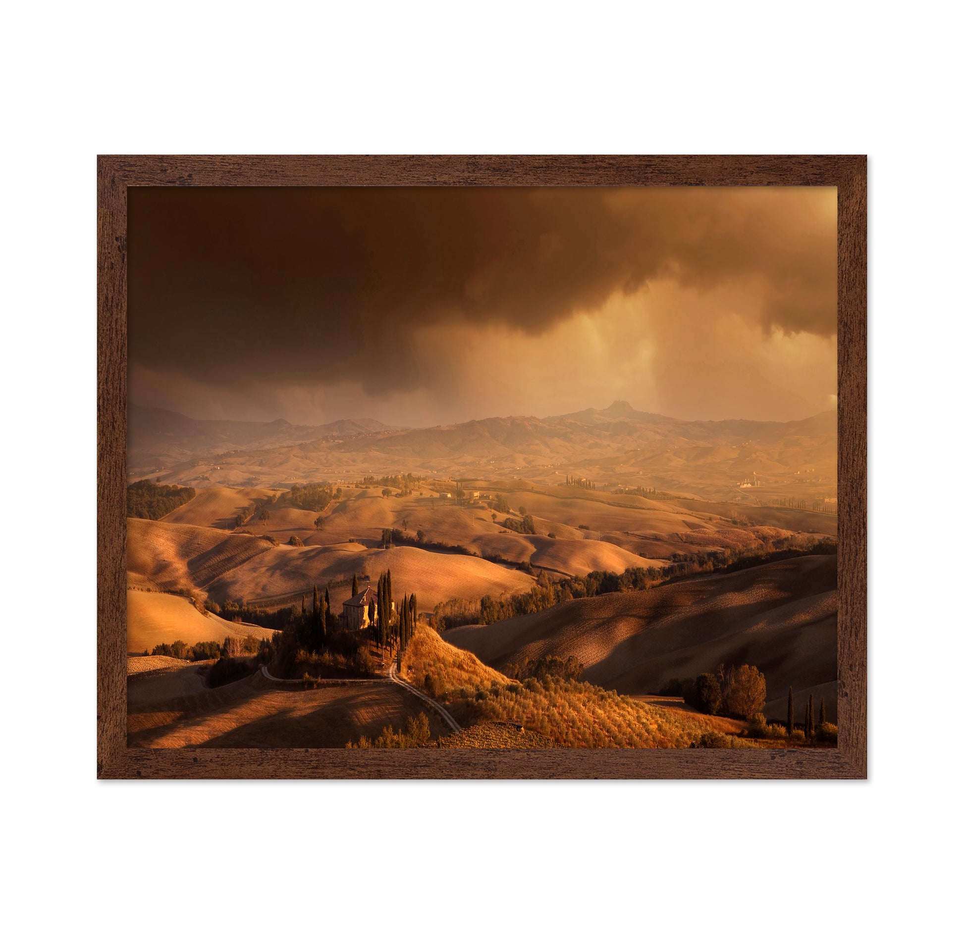 Tuscany Golden Hills