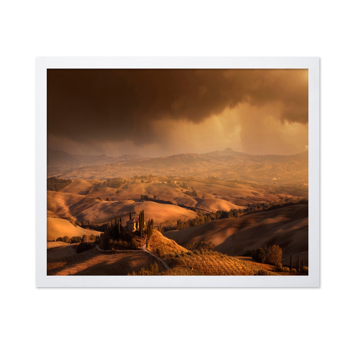 Tuscany Golden Hills