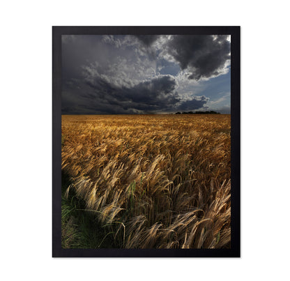 Golden Wheat Fields