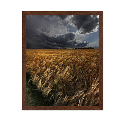 Golden Wheat Fields