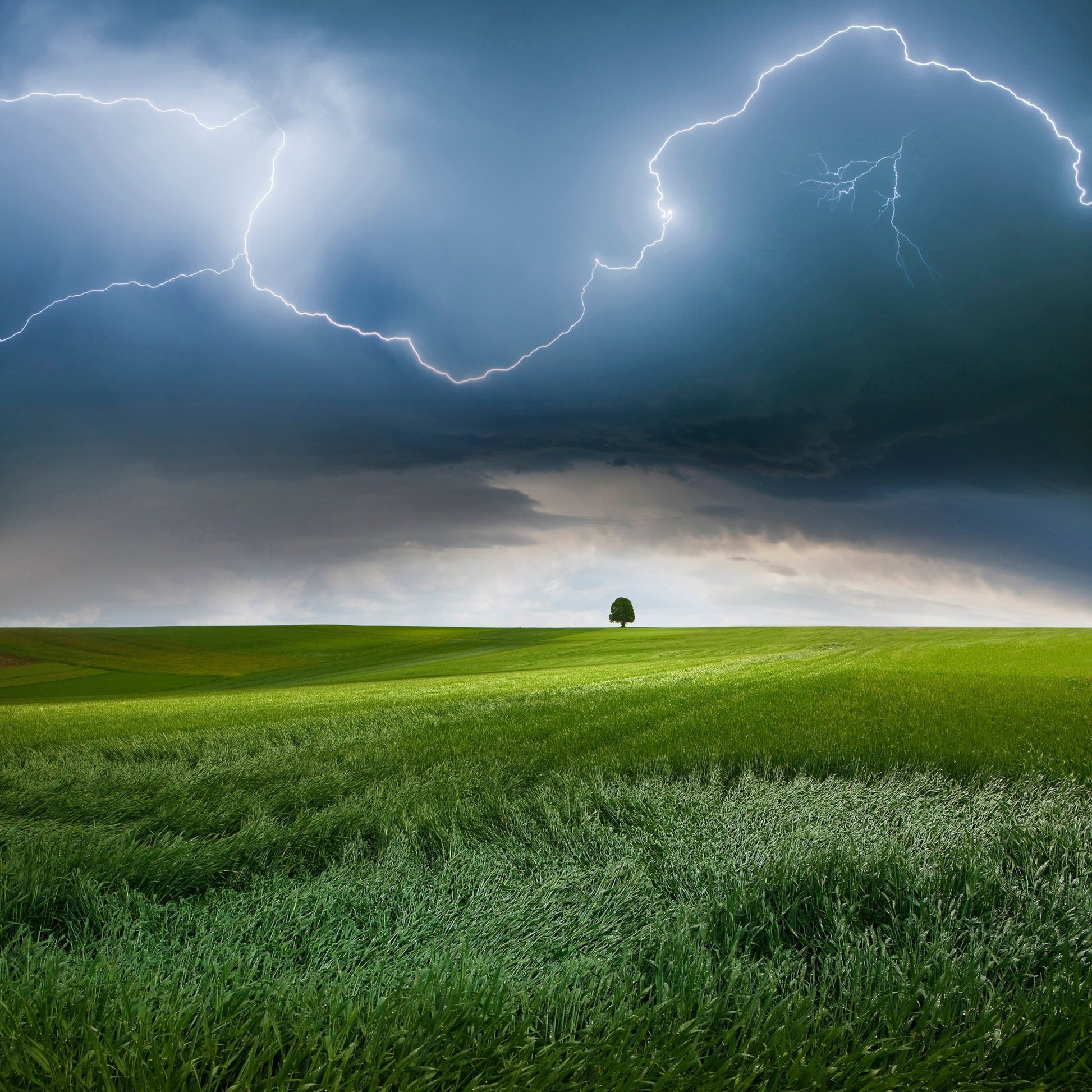 Storm Over Green Fields