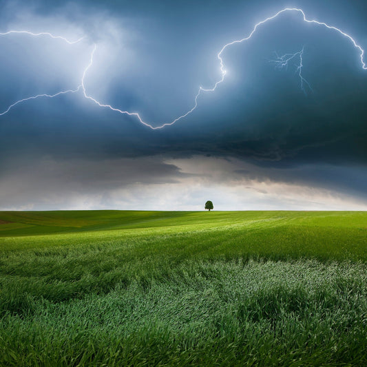 Storm Over Green Fields