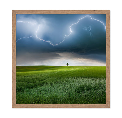 Storm Over Green Fields