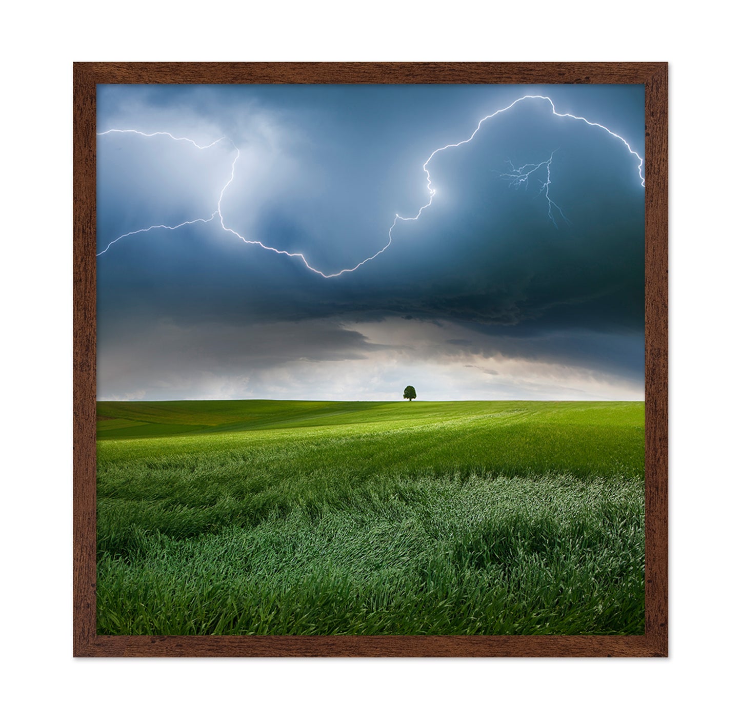 Storm Over Green Fields