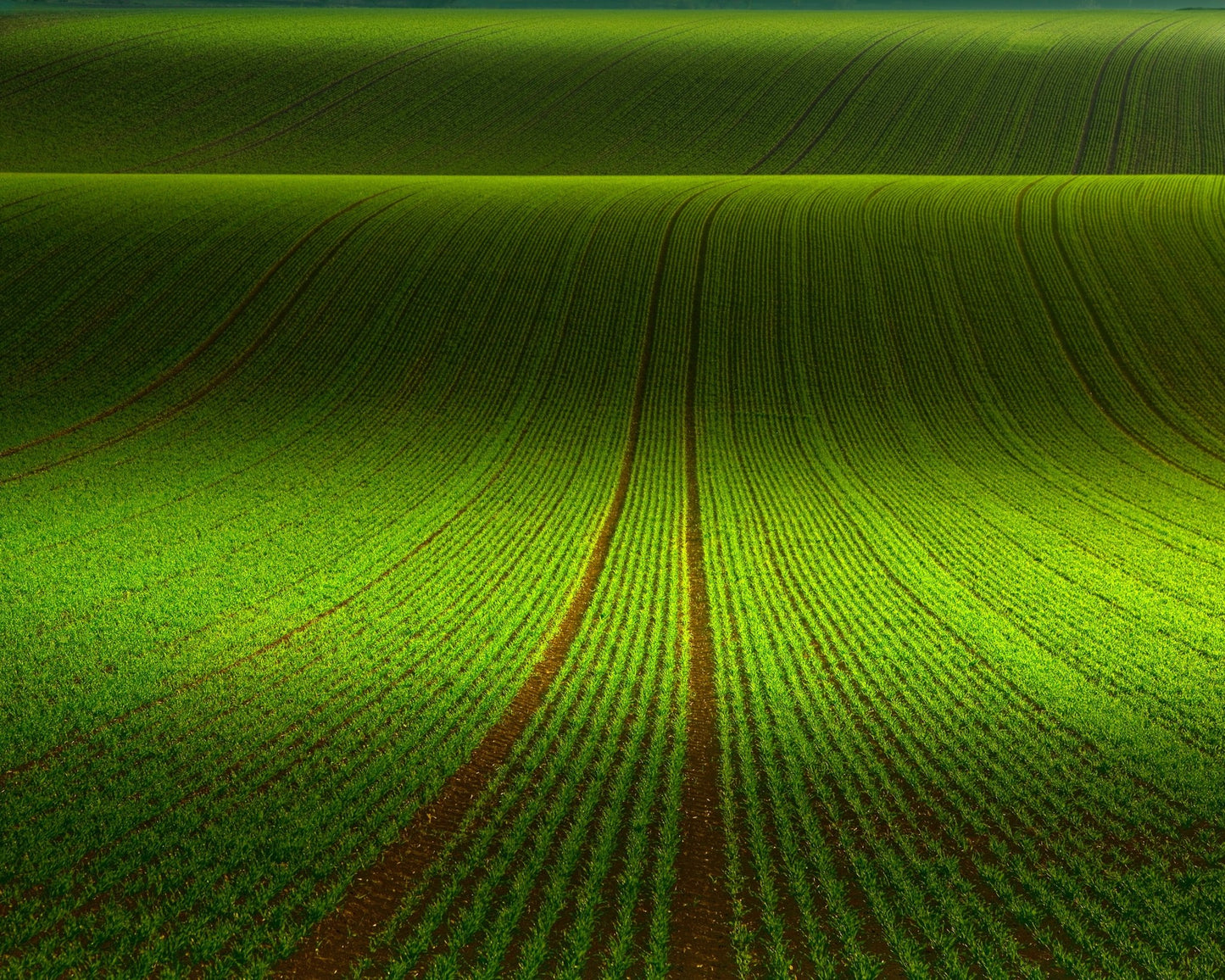 Green Field Patterns