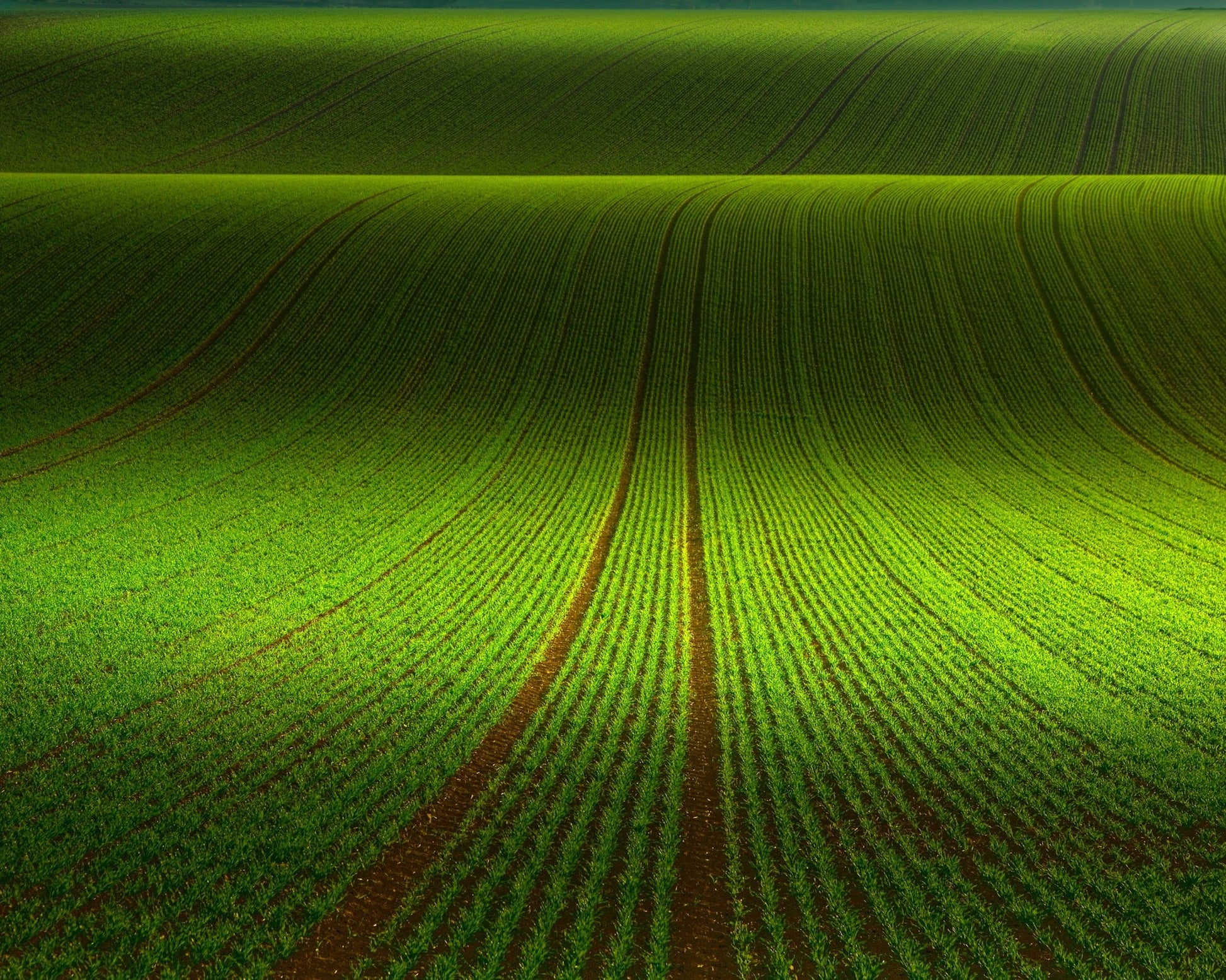 Green Field Patterns