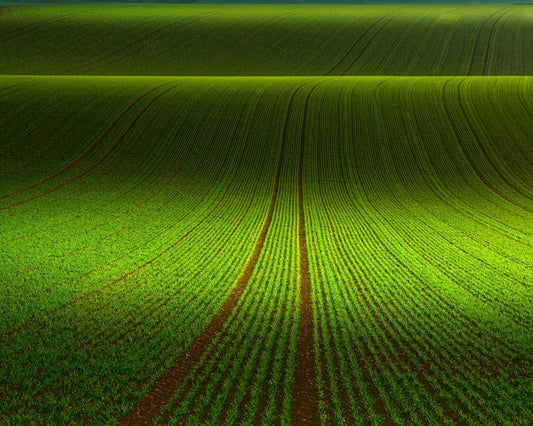 Green Field Patterns