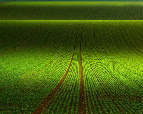 Green Field Patterns
