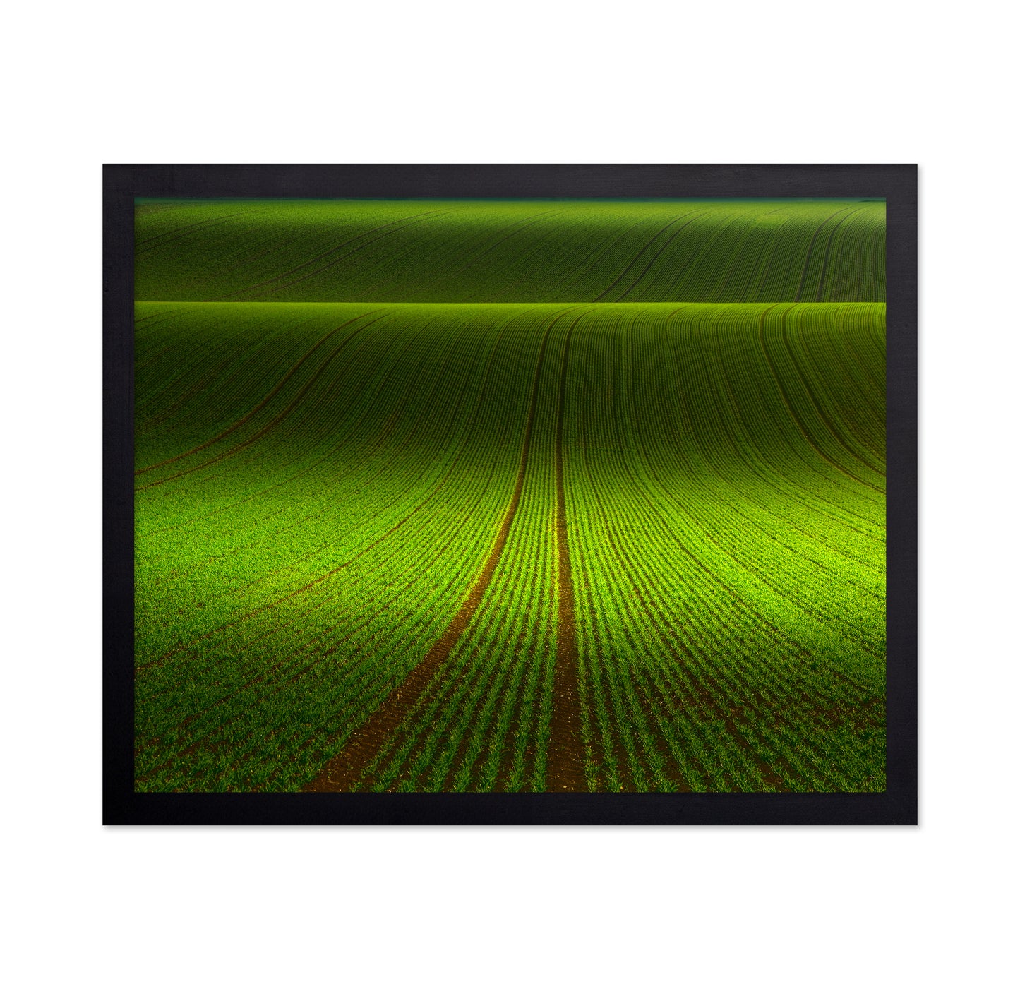 Green Field Patterns