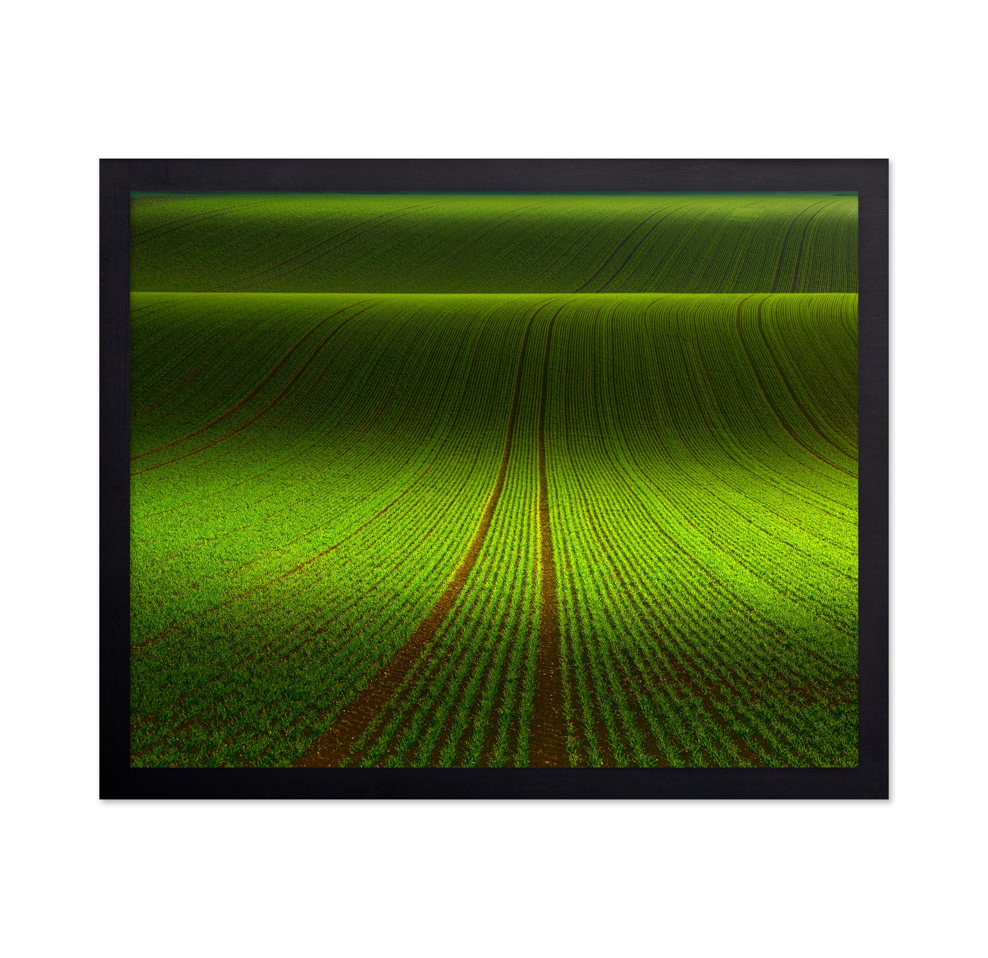 Green Field Patterns