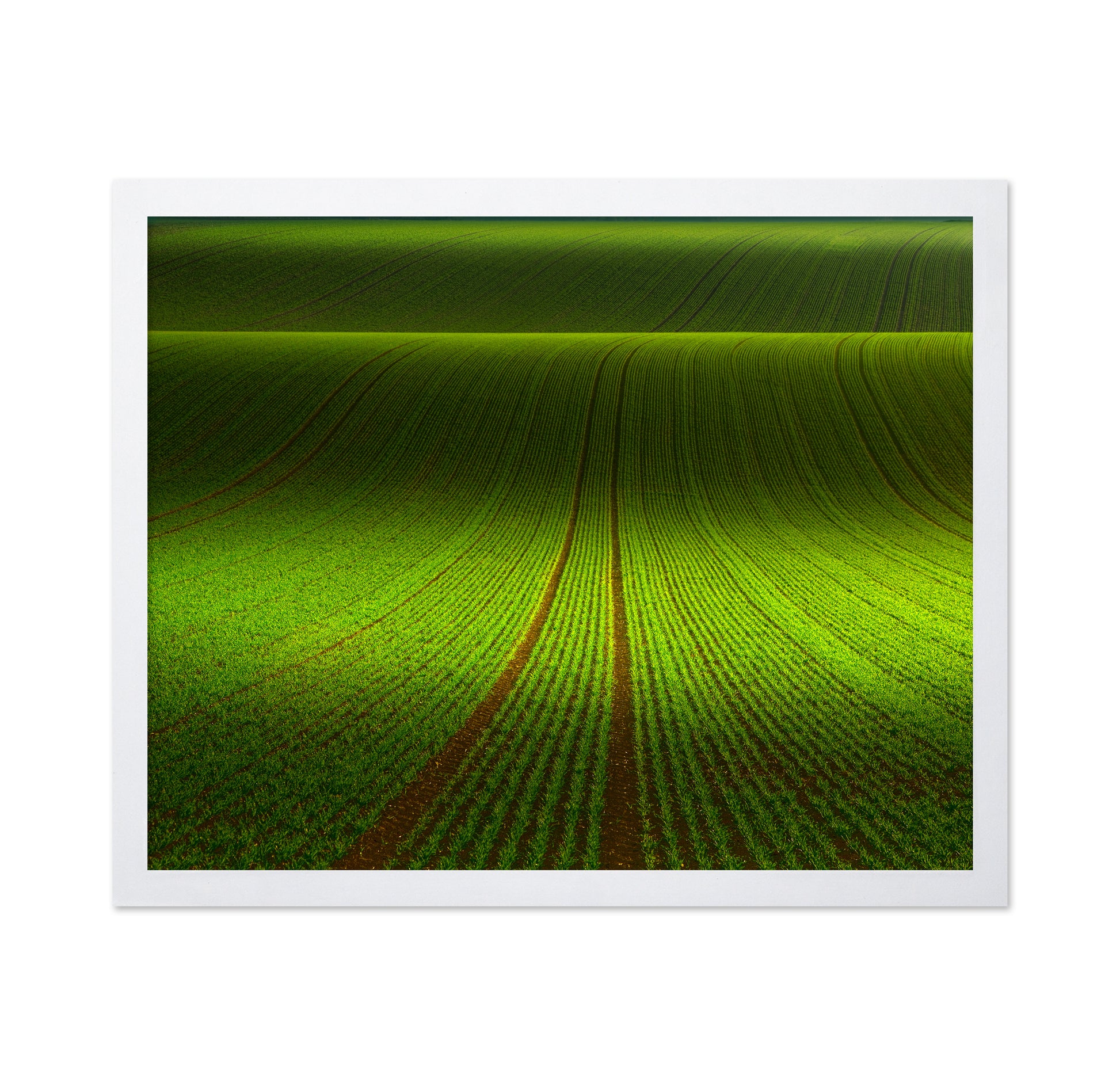 Green Field Patterns
