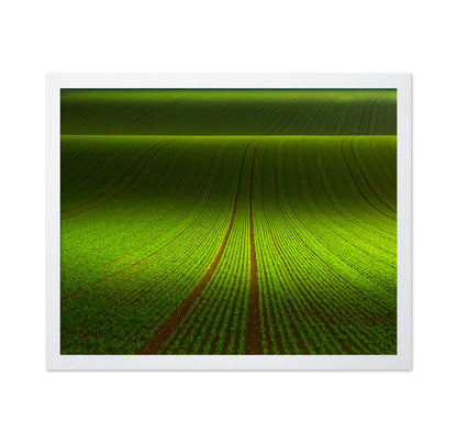 Green Field Patterns