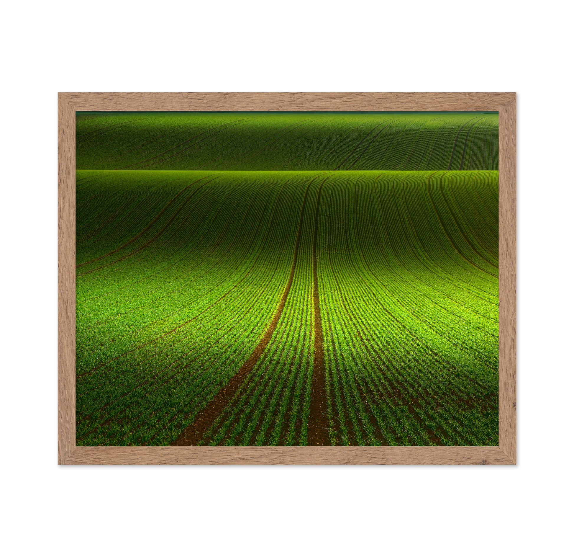 Green Field Patterns