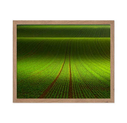 Green Field Patterns