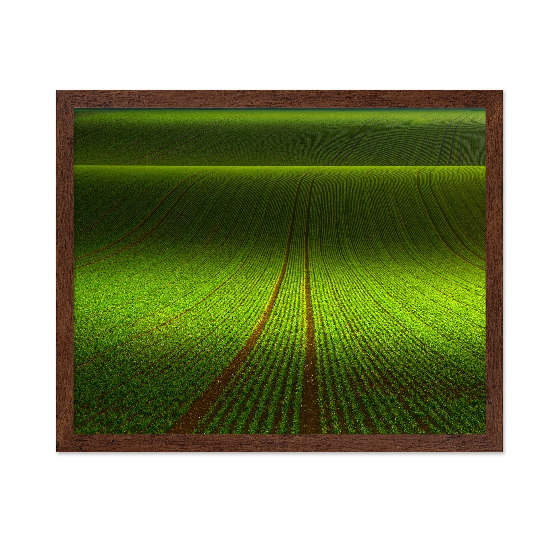 Green Field Patterns