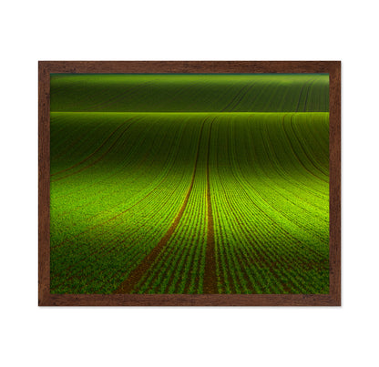 Green Field Patterns