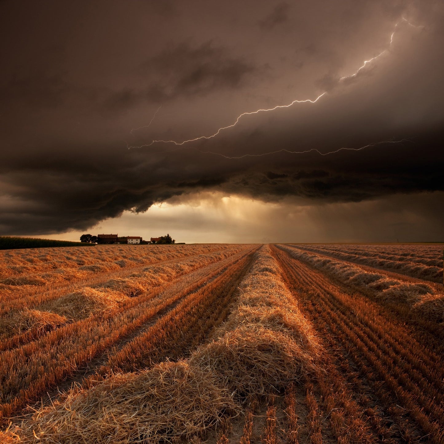 Lightning Over Fields
