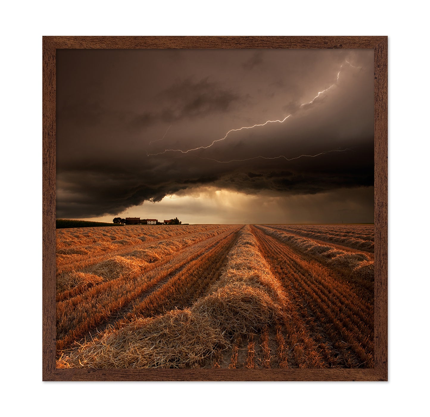 Lightning Over Fields