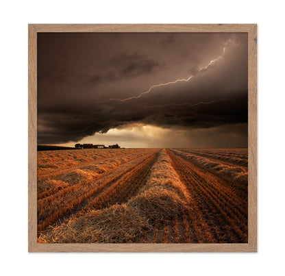 Lightning Over Fields